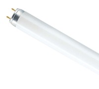Лампа ЛЛ 36 Вт L36W/640 (хол.-белый) G13 (OSRAM)