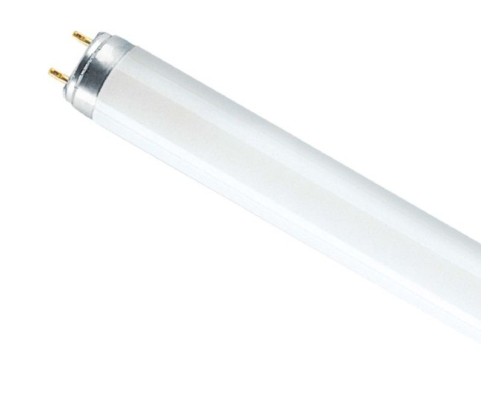 Лампа ЛЛ 18 Вт L18W/640 ( хол. -белый) G13 (OSRAM)