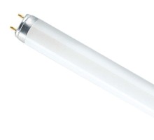 Лампа ЛЛ 18 Вт L18W/640 ( хол. -белый) G13 (OSRAM)