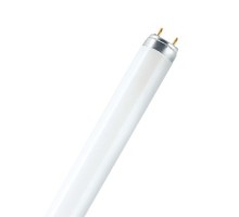 Лампа ЛЛ 15Вт L15W/864 ( хол. -белый) G13 Feron (03002)