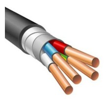 ВБШвнг(А)-LS 4х 10 (N,PE) 0,66 кВ кабель