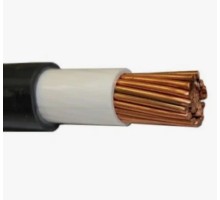 ВВГнг(А)-LS 1х 50 кВ 1 кабель