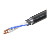 ВБШвнг(А)-LS 2х 10 (N,PE) 0,66 кВ кабель