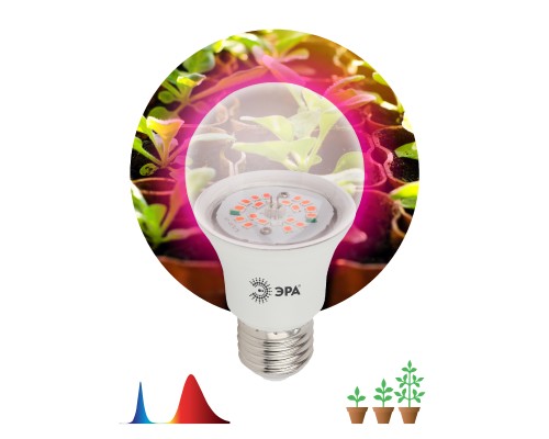 Лампа LED шар(A60) Е27 14Вт для растений FITO-14W-RB-E27-K ЭРА