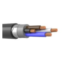 ВБШв 4х 25 (N) 0,66 кВ кабель