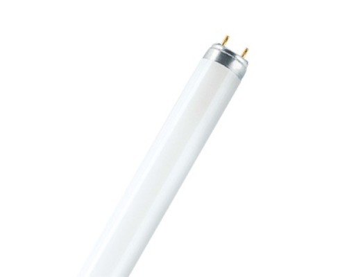 Лампа ЛЛ 30 Вт L30W/640 (хол. белый) G13 (OSRAM)
