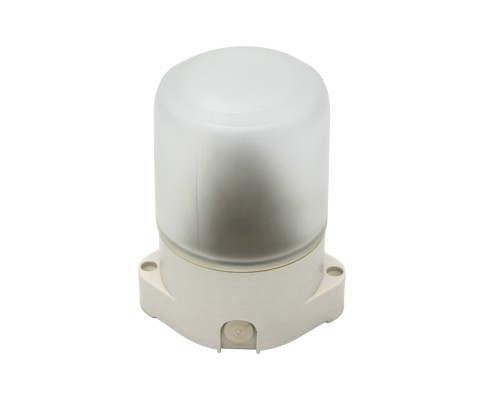 Светильник НББ 01-60-001 IP65 для бань и саун прямое осн. белый ЭРА