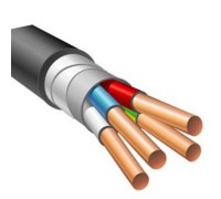 ВБШвнг(А)-LS 4х 25 (N,PE) 0,66 кВ кабель
