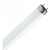 Лампа ЛЛ 39 Вт L39W/865 T5 G5, 849 mm, Osram